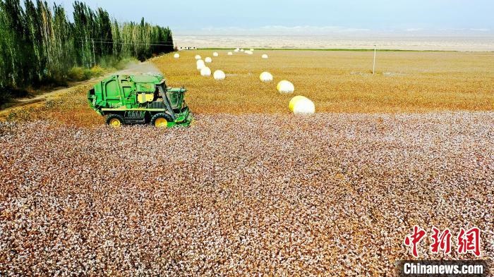 近年來，當?shù)孛藁ǚN植戶的生產(chǎn)生活發(fā)生了翻天覆地的變化。　董霜 攝