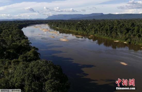 資料圖：亞馬孫雨林內(nèi)的河流。