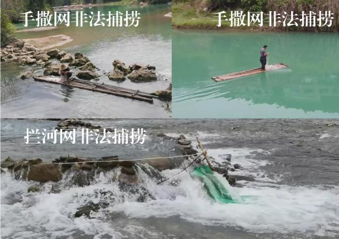 2021年9—10月，前期暗查發(fā)現(xiàn)，保護(hù)區(qū)核心區(qū)內(nèi)非法捕撈行為十分猖獗