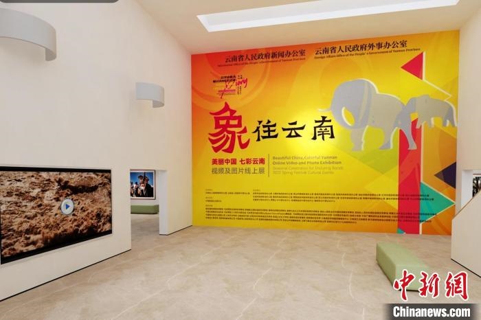 圖為“象”往云南——美麗中國 七彩云南視頻及圖片線上展截圖?！『h航 攝