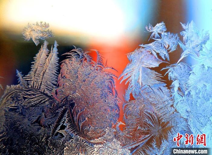 惟妙惟肖的冰窗花，似一幅風(fēng)景畫。　孫書程 攝
