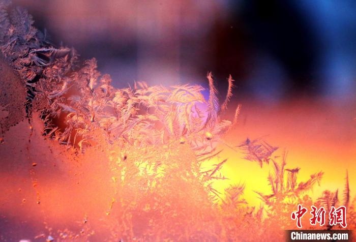 迎著光亮，冰窗花絢麗多姿?！O書程 攝