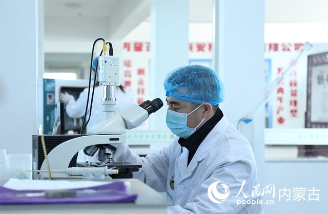 內(nèi)蒙古中農(nóng)興安種牛科技有限公司落戶科右中旗，為肉牛產(chǎn)業(yè)發(fā)展提供了優(yōu)質(zhì)的種源保障。白俊華攝