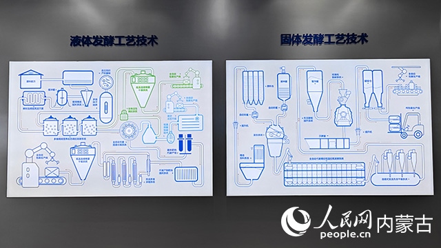 科拓生物工藝技術(shù)展示。人民網(wǎng)記者 張雪冬攝