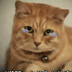 1591667488363129.gif 6_結(jié)果.gif