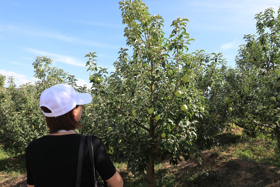 1597161246583141.jpg 7O5A0944.JPG