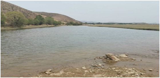 1598844457572143.png image.png