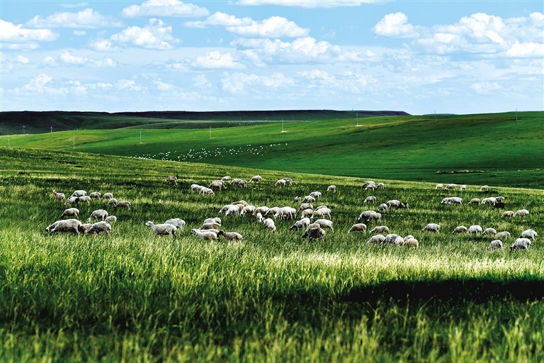 1662251968912273.jpg 2394125_wangxia_1662220293566_s.jpg