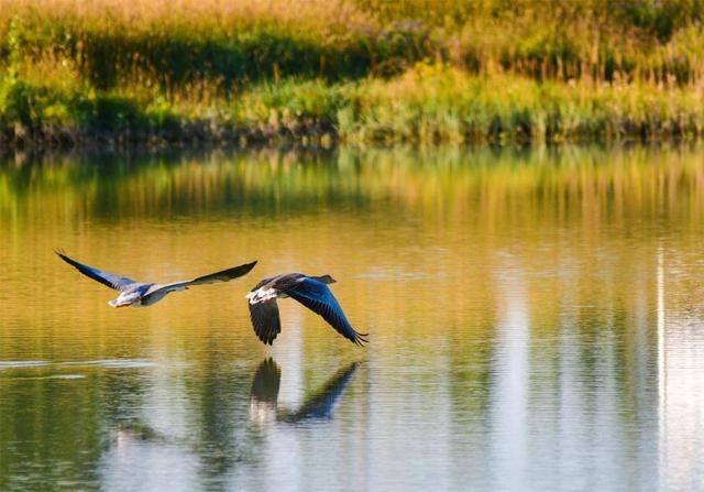 1662607086500932.jpg W020220907494518338961.jpg