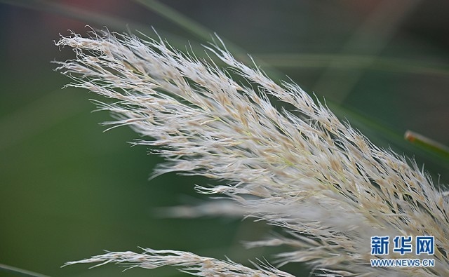 1662607607463495.jpg 00300584743_aae2de8e.jpg