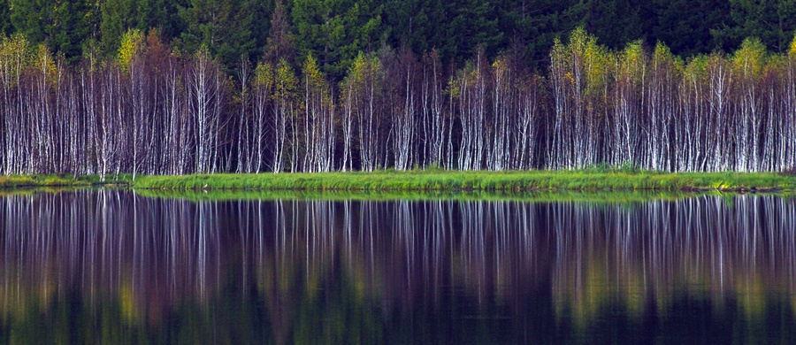 1667391041673619.jpg 05.jpg