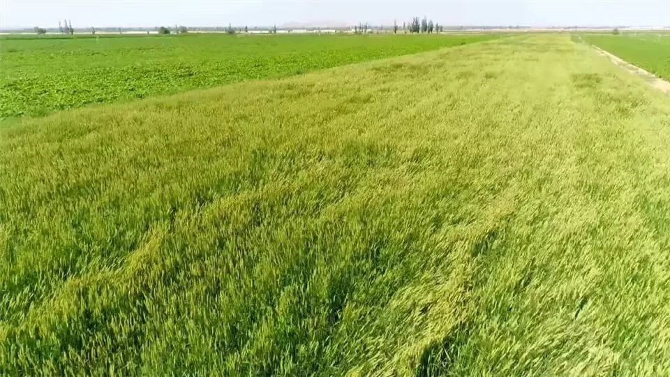 1672828362136940.jpg 微信圖片_20230104182932.jpg