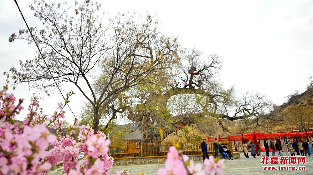 1681987429552657.jpg 微信圖片_20230420183110.jpg