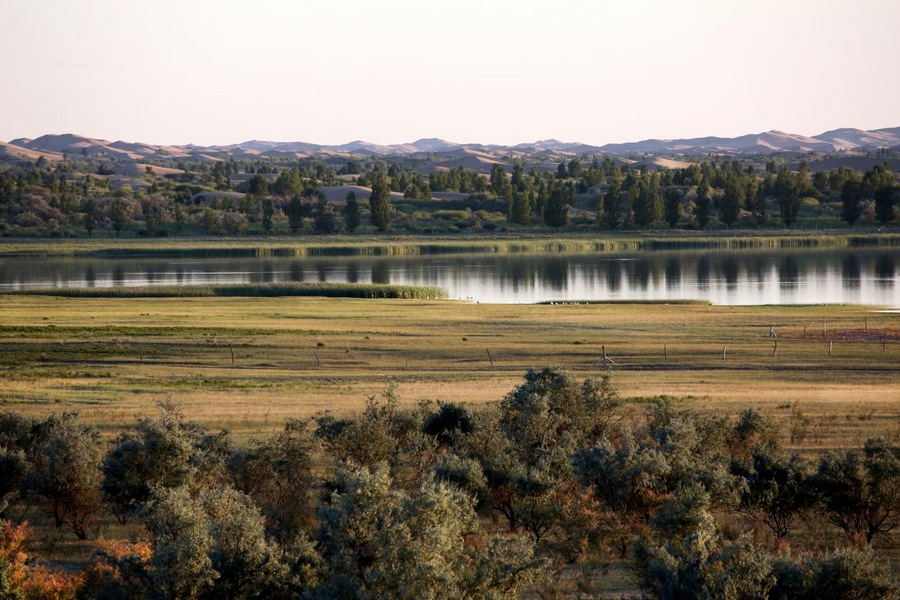 1688180360598055.png 圖片3.png