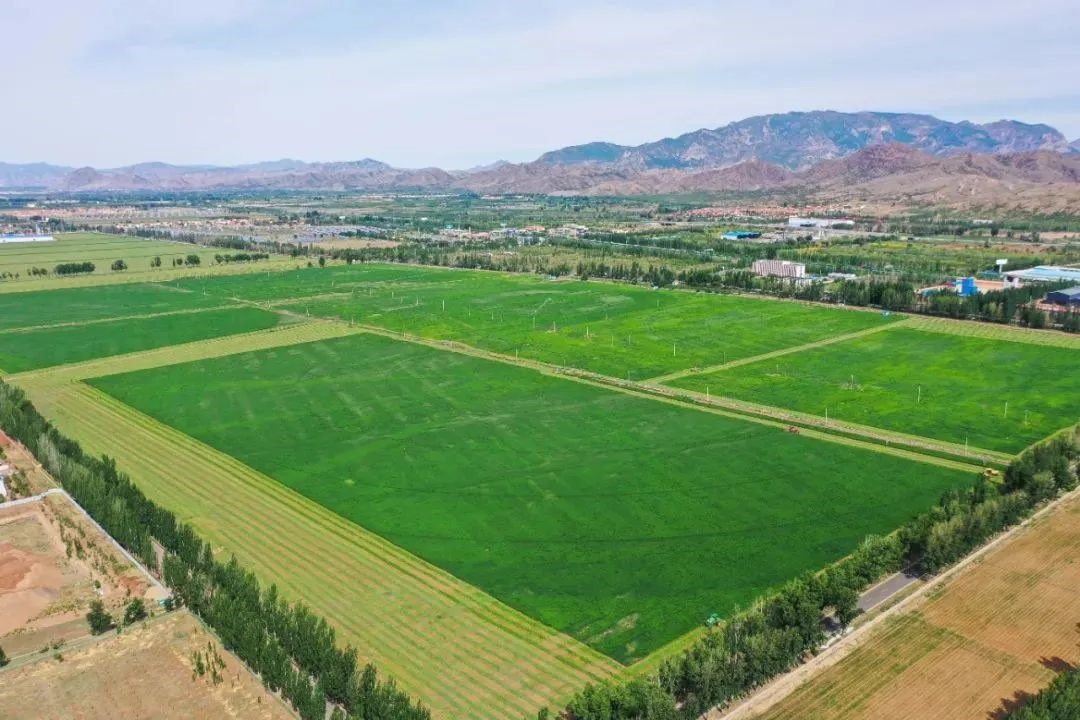 1689315030111667.jpg 640.jpg