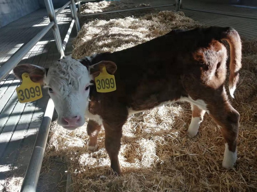 1698118880745138.png 4.png