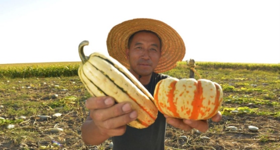 1698467067130773.png 圖片15.png