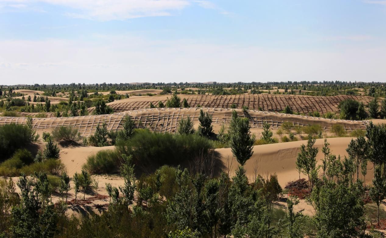 1700637460108052.png 圖片1.png