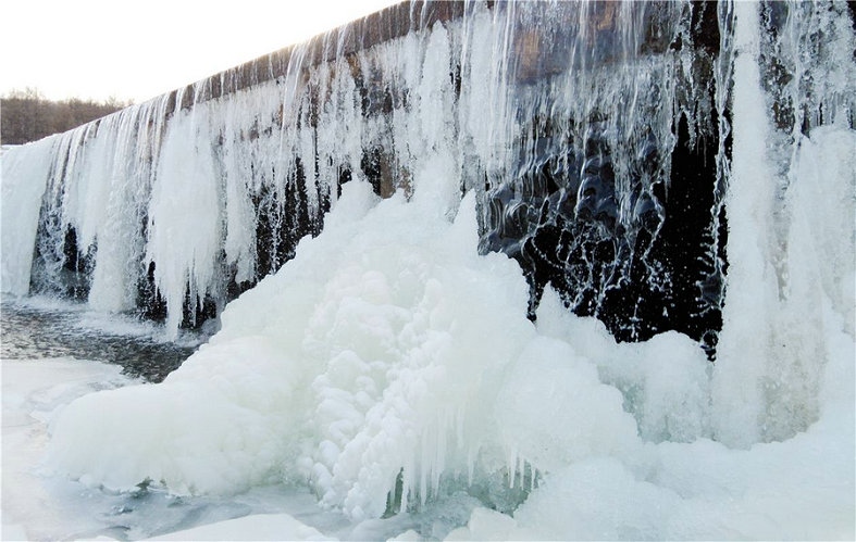 1701151942606791.jpg 1.jpg