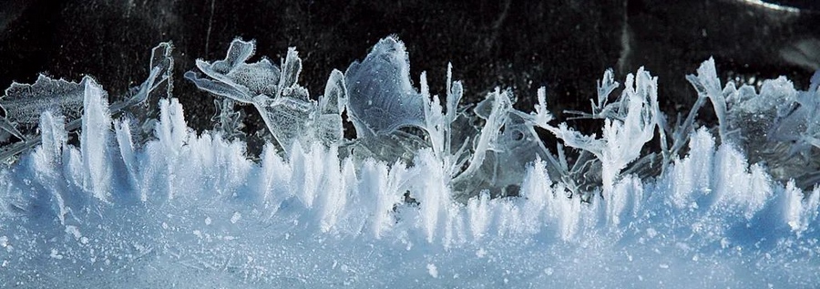 1703777188195665.png 圖片4.png