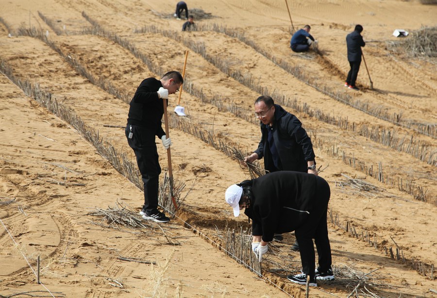 1711449479985685.jpg 20240326183032.jpg