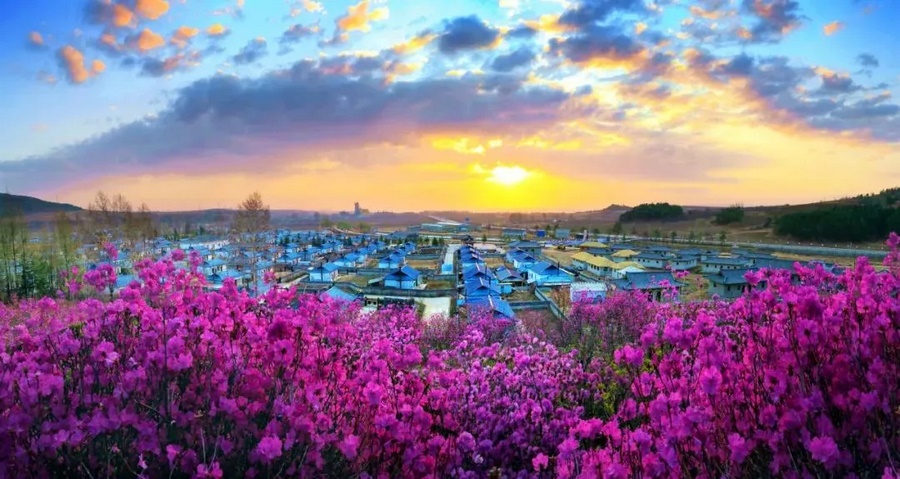 1714022893622110.png 12.png