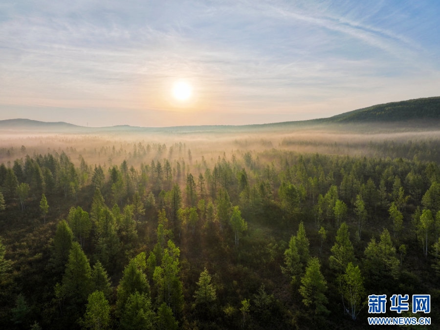 1718071599954574.jpg _O6I0394(1).JPG