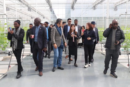 1727084999939168.png 北京大學(xué)“東方獎(jiǎng)學(xué)金”學(xué)員參訪團(tuán)在鄂爾多斯為“東方友誼林”種下新樹苗189.png