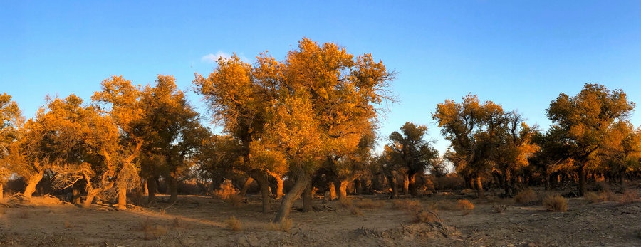 1727321654101305.jpg 微信圖片_20240926103401.jpg