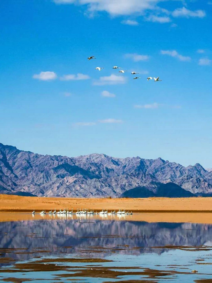 1735285799421238.jpg 1.jpg