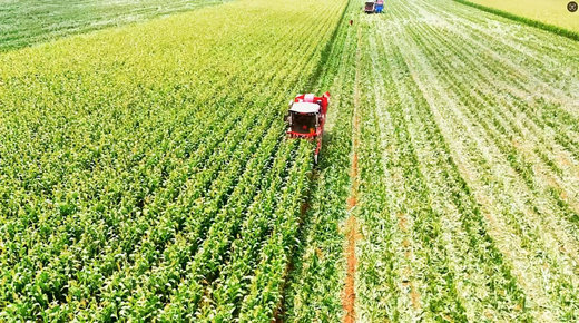 1738412992100203.jpg 33333333.jpg