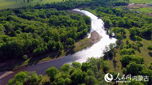 1752799955747892.jpg 松子1.jpg