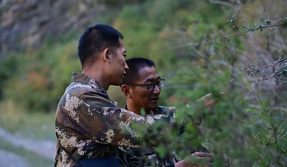 1757918315944805.jpg 護(hù)林55.jpg