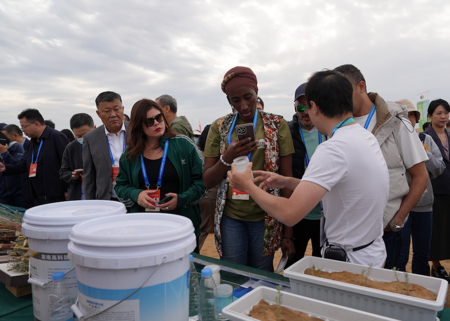 1758098258133209.jpg DSC07306.JPG