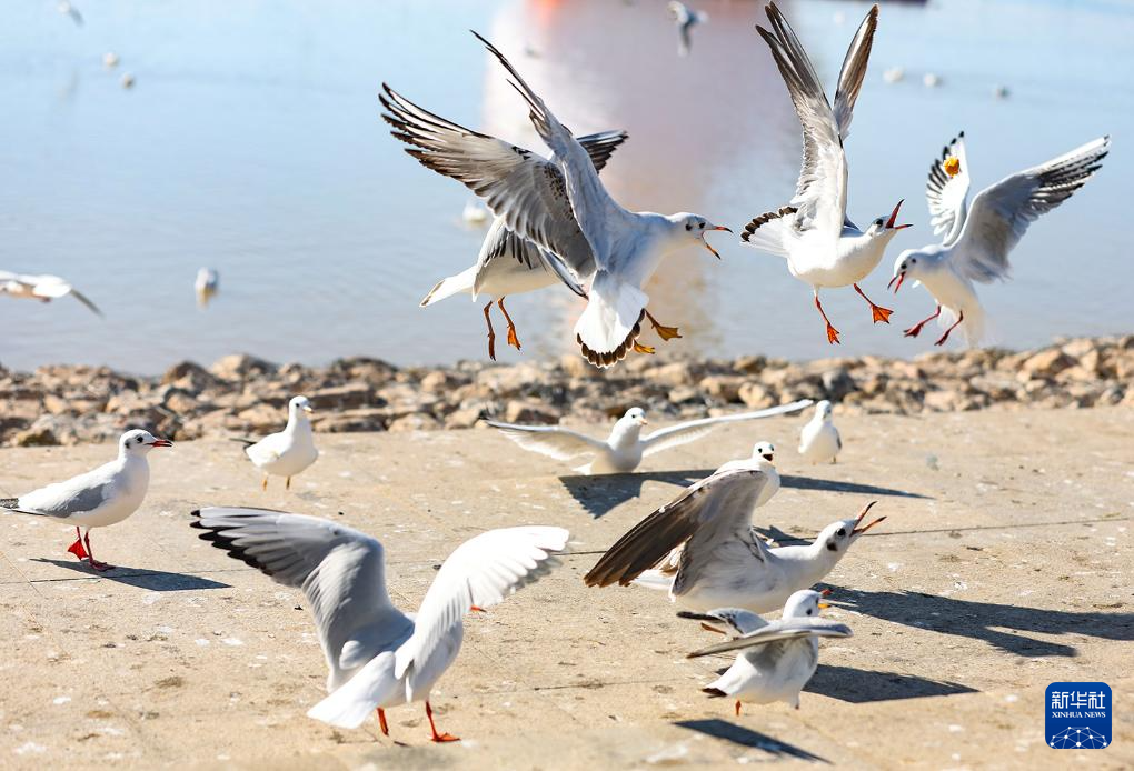 1762136655132430.jpg _DSC3231.jpg