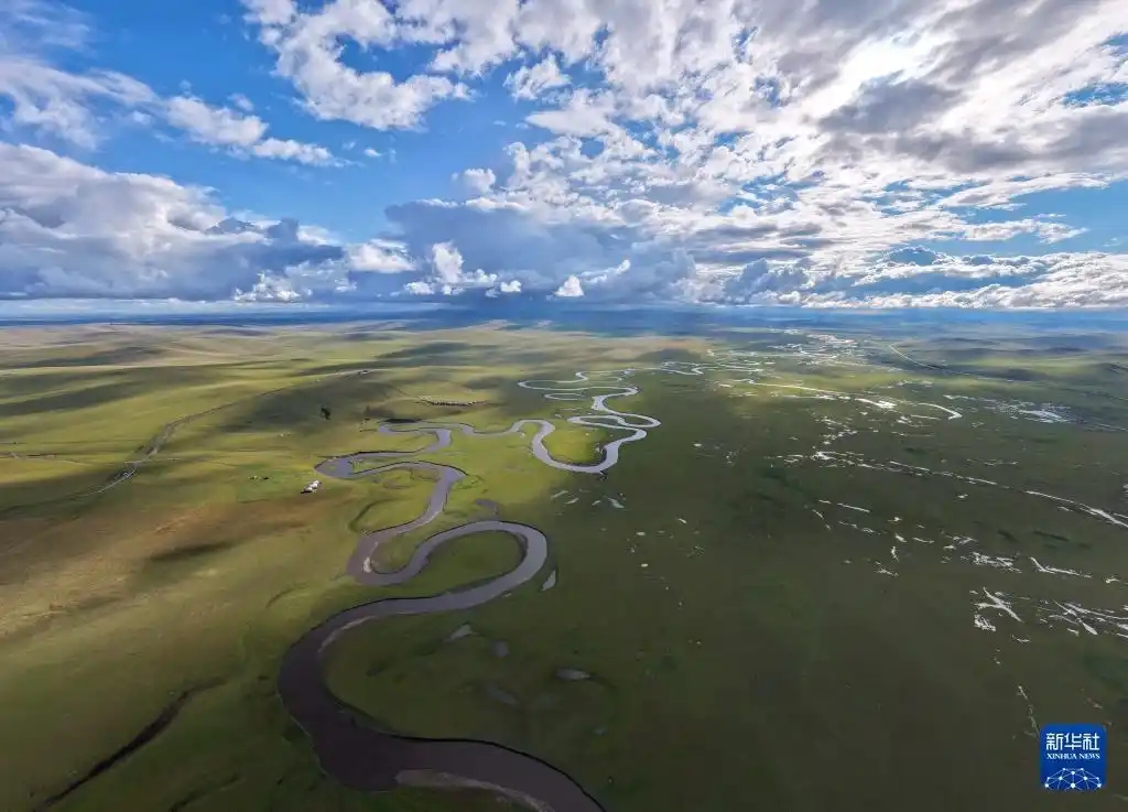 1762402095134065.jpg 908fa0ec08fa513d8a93a09028dc22ebb3fbd981.webp.jpg