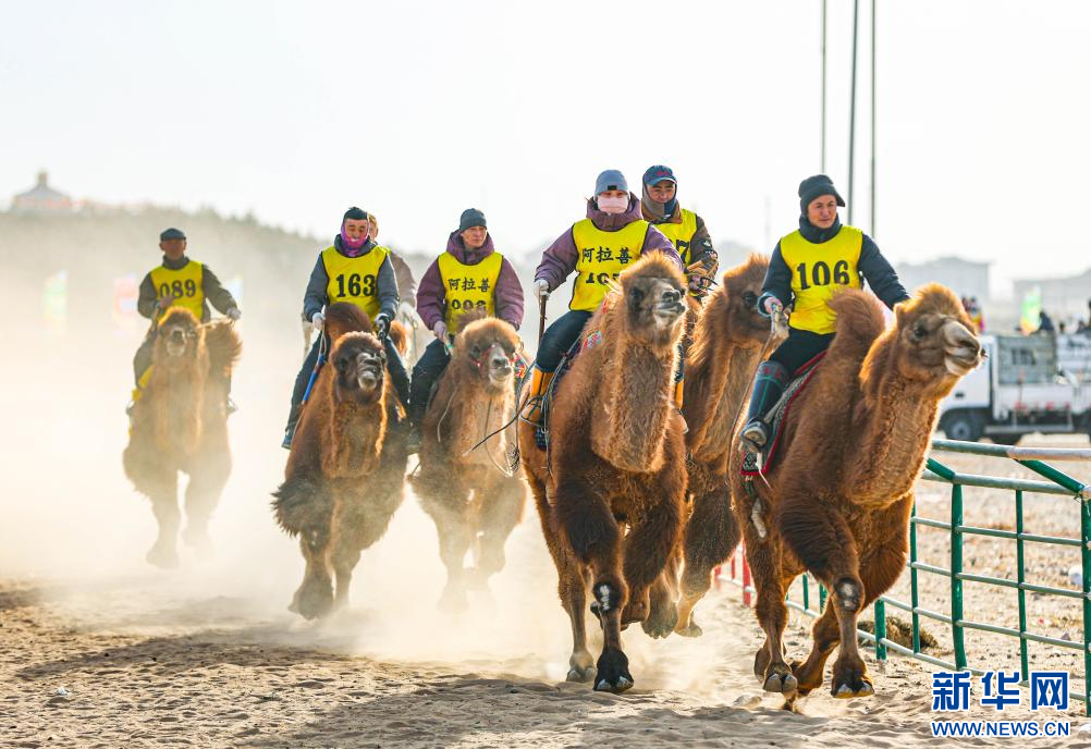 3月7日，賽駝手在6000米成年駱駝場(chǎng)地速度賽比賽中。.jpg