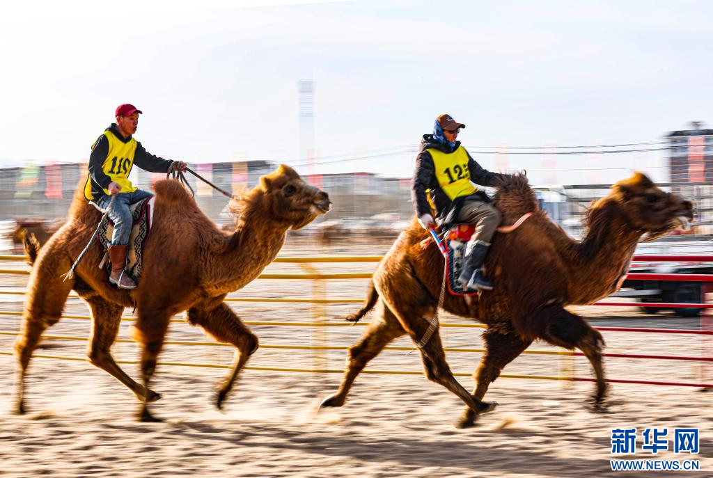3月7日，賽駝手在6000米成年駱駝場(chǎng)地速度賽比賽中.jpg