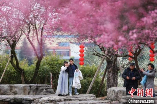 2月23日，市民在乾藝梅園景區(qū)觀賞綻放的梅花。瞿宏倫 攝