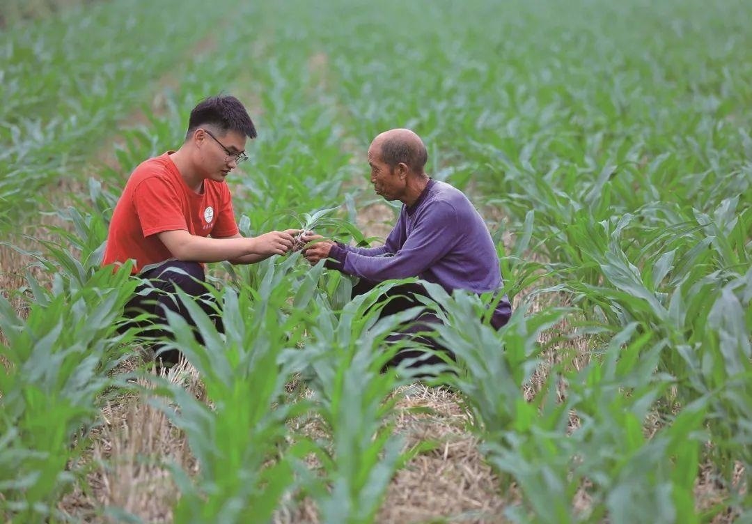 △科技小院的學生在給村民講解玉米種植知識。