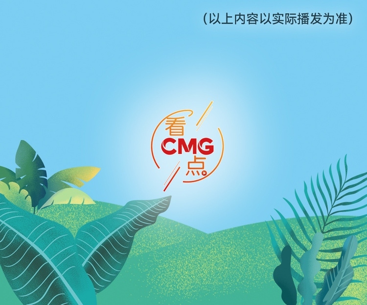 總臺周看點，來了！