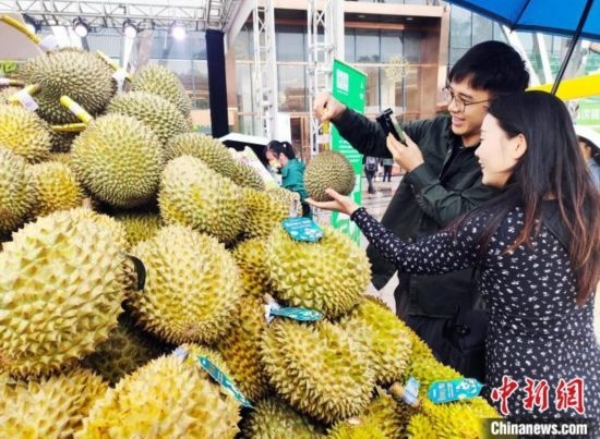 圖為廣西南寧市民在選購榴蓮。黃艷梅 攝