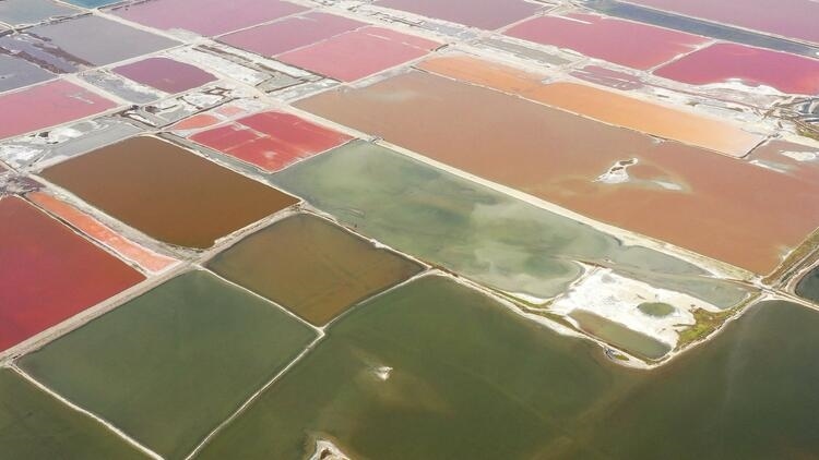 鑒往知來，跟著總書記學(xué)歷史丨走進(jìn)一座博物館，尋根五千年中華文明