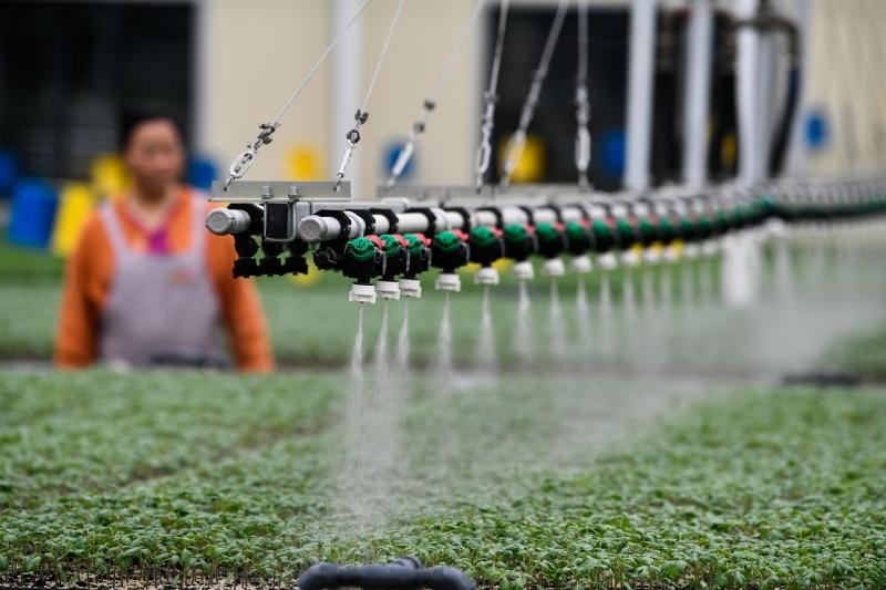 工人在貴陽市開陽縣楠木渡蔬菜良種繁育中心查看自動噴灌系統(tǒng)給辣椒苗澆水情況（2023年5月24日攝）。新華社記者 楊文斌 攝
