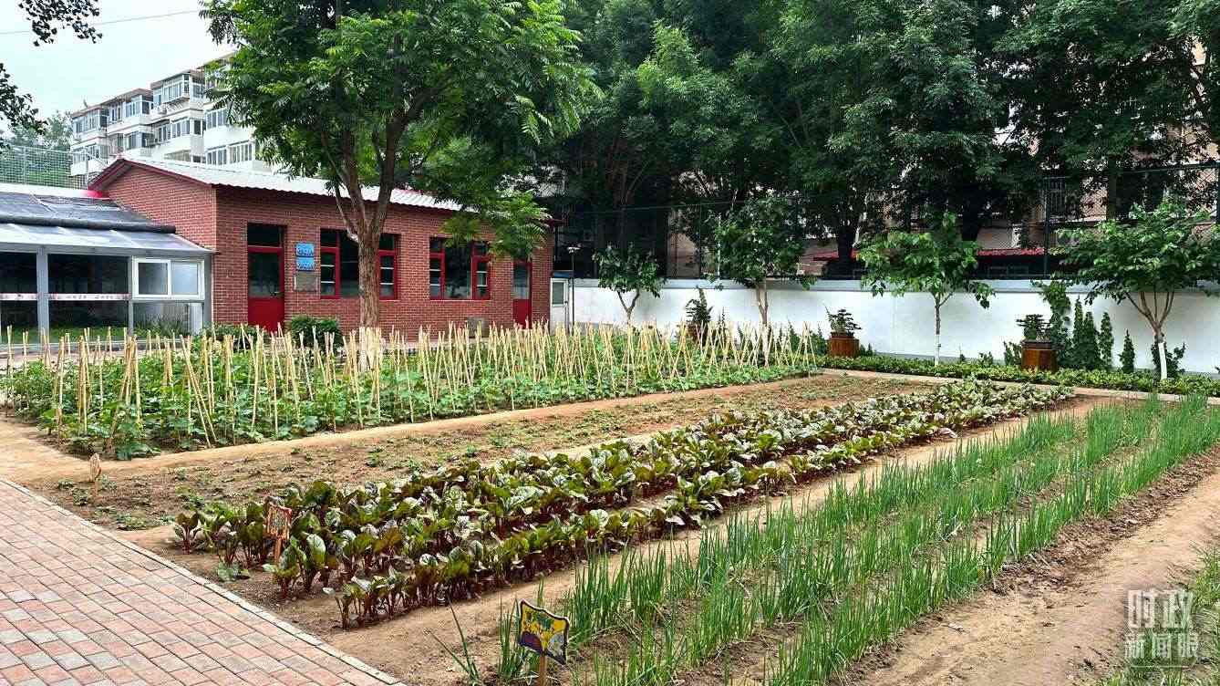 △學(xué)生農(nóng)場(chǎng)。（總臺(tái)央視記者趙化拍攝）
