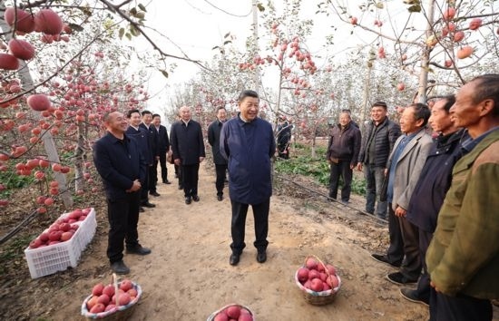 2022年10月26日，習(xí)近平總書記在陜西省延安市安塞區(qū)高橋鎮(zhèn)南溝村蘋果園同老鄉(xiāng)們親切交流。