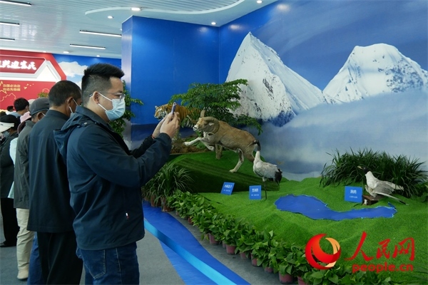 6月17日，觀眾正在觀展。人民網(wǎng) 韋衍行攝