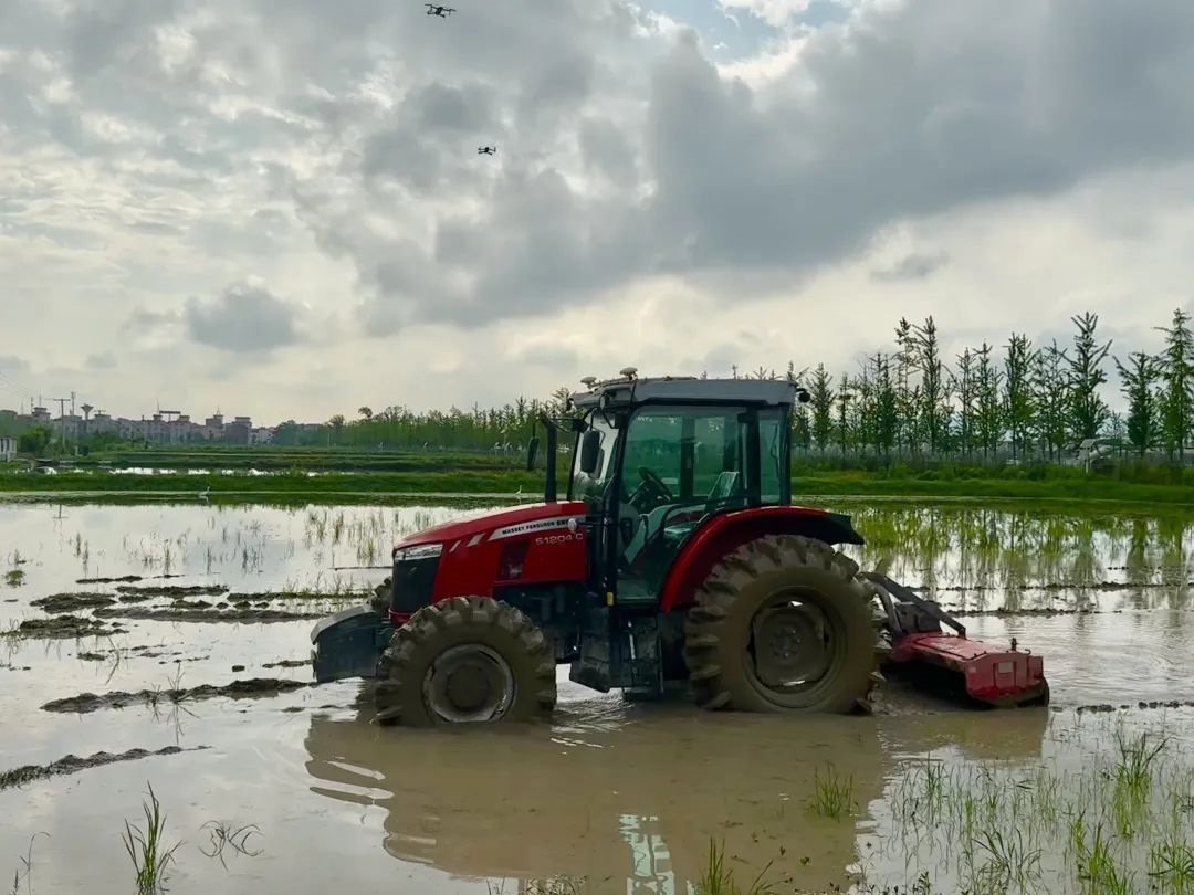 浙江省金華市東陽市城東街道寀盧村的一臺無人駕駛耕地機(jī)。靜玄 攝
