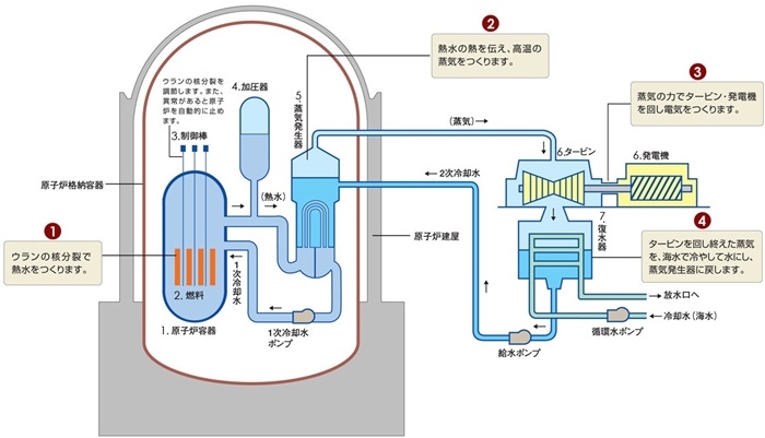 核電站運作原理圖。通常的核電站排水未直接接觸核燃料。（圖片來源：日本北海道電力株式會社網站）