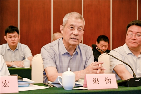 中國林業(yè)生態(tài)作家協(xié)會名譽(yù)主席梁衡發(fā)言。主辦方供圖